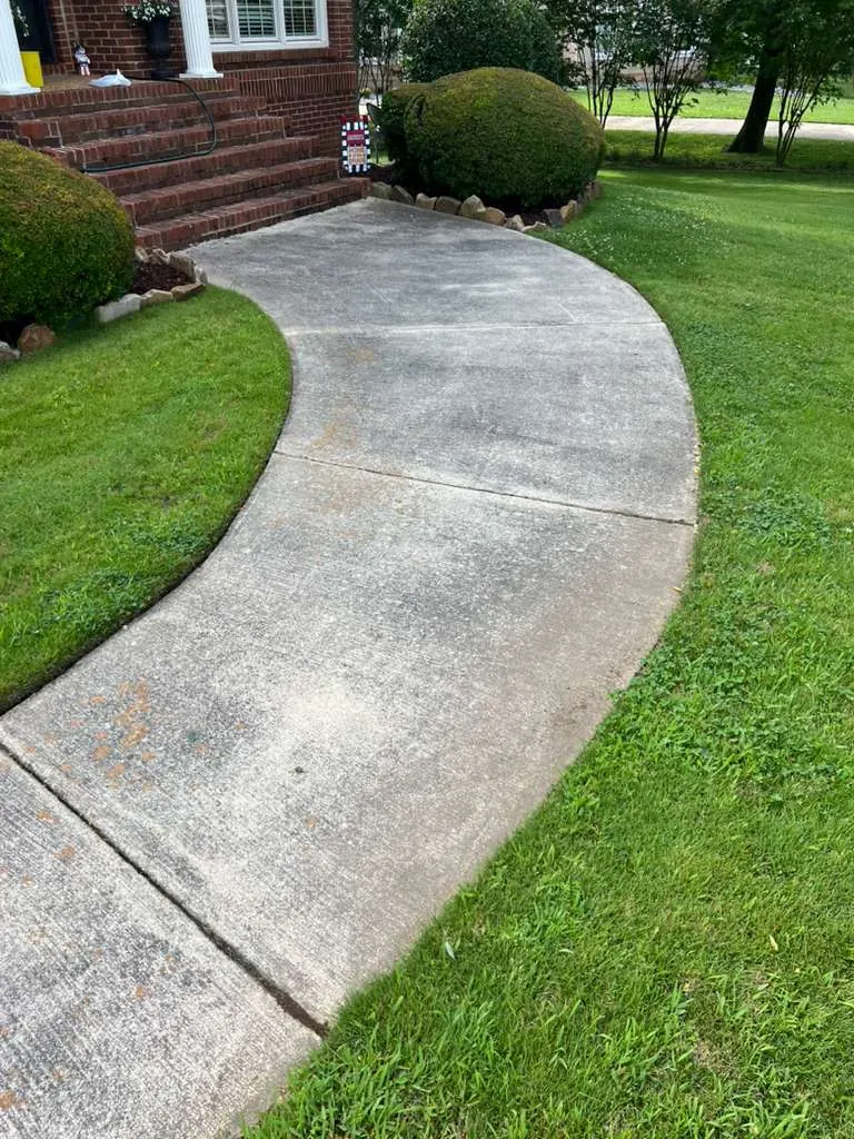 Algae-darkened curved walkway before pressure washing